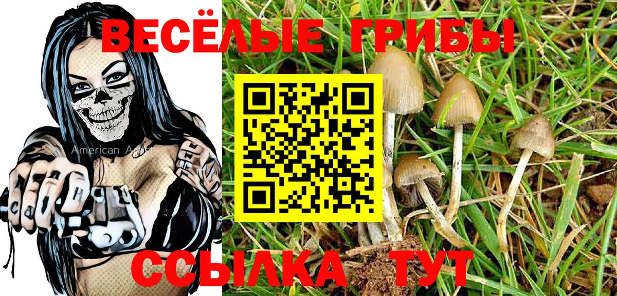 Златоуст  Галлюциногенные грибы MAGIC MUSHROOMS  Вход с VPN 